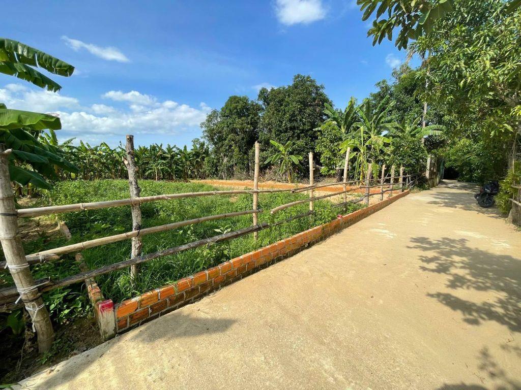 GIA ĐÌNH CÓ VIỆC CẦN TIỀN, BÁN NHANH LÔ 130M2 FULL THỔ CƯ ĐIỆN BÀN TÂY, GIÁ CHỈ 5XX TRIỆU