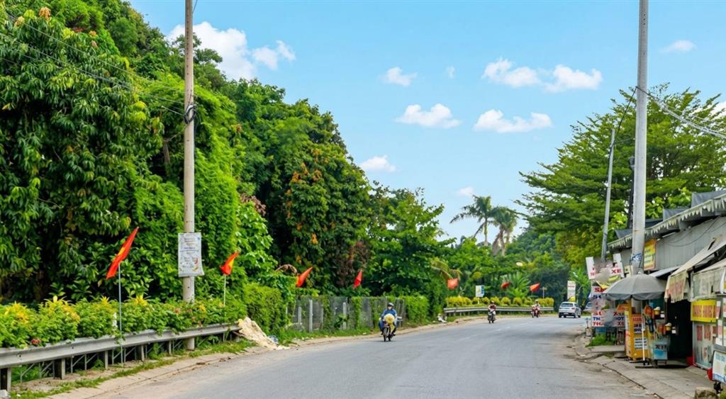 [DP192*] Đất Rẻ Bất Chấp An Phú Đông Q12 - 28.x tỷ