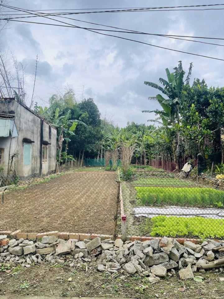 🔥 CHỦ CẦN TIỀN BÁN GẤP – 2 LÔ ĐẤT 150M² CHỈ 690 TRIỆU/LÔ