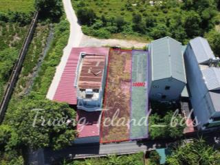 💰 Giá Tốt Hiếm Có – Đất Bìa Làng 100m², Ô Tô Tránh, giá 70tr hơn.. 
