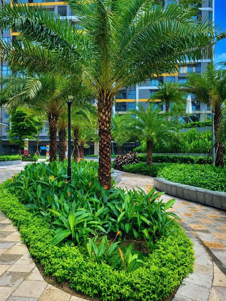 Bán căn hộ studio giá tốt tại The Opus One - Vinhomes Grand Park