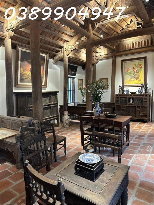 CHO THUÊ NHÀ VƯỜN PHỐ CỔ MẶT TIỀN ĐƯỜNG MẠC ĐỈNH CHI KHU BÀN CỜ TRUNG TÂM NHA TRANG –