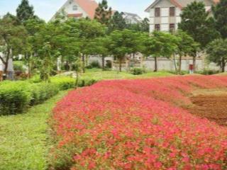 Chính chủ bán Biệt thự The Phonenix Garden, Đan phượng, Hà Nội
