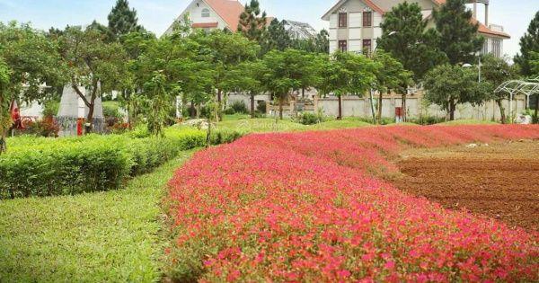 Bán Biệt thự The Phonenix garden, Đan phượng, Hà Nội