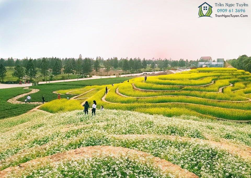 Bán Biệt thự The Phonenix garden, Đan phượng, Hà Nội