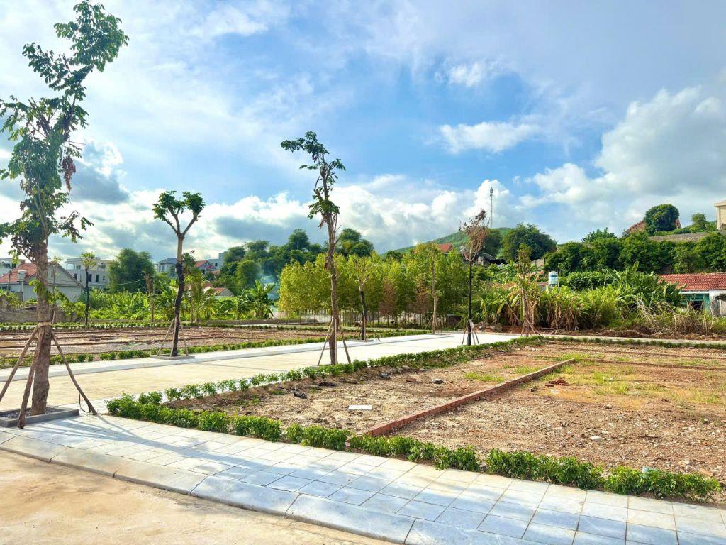 CƠ HỘI SINH LỜI HẤP DẪN- VỐN TỪ 1 TỶ VỊ TRÍ GIÁP DANH DỰ ÁN VIN HẠ LONG XANH, 5P ĐẾN GA TOD 