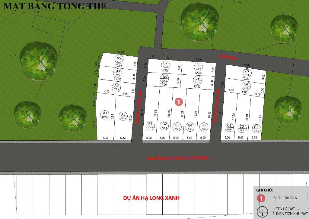 KỀ BÊN ĐẠI ĐÔ THỊ 18 TỶ ĐÔ VIN HẠ LONG XANH, 5 PHÚT ĐẾN GA TOD, SẴN SỔ TỪNG LÔ CHỈ NHỈNH 2 TỶ