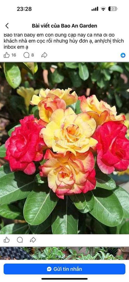 🌹NHÀ BÌNH THẠNH SD HƠN 30m2 CHỈ 2,1 T.ỉ KHU NGUYỄN XÍ NƠTRANG LONG 3 T