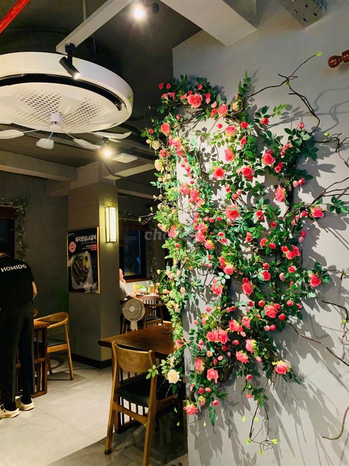 Cho thuê VP-MBKD trống suốt mặt tiền đường Lê Thánh Tôn, Quận 1.