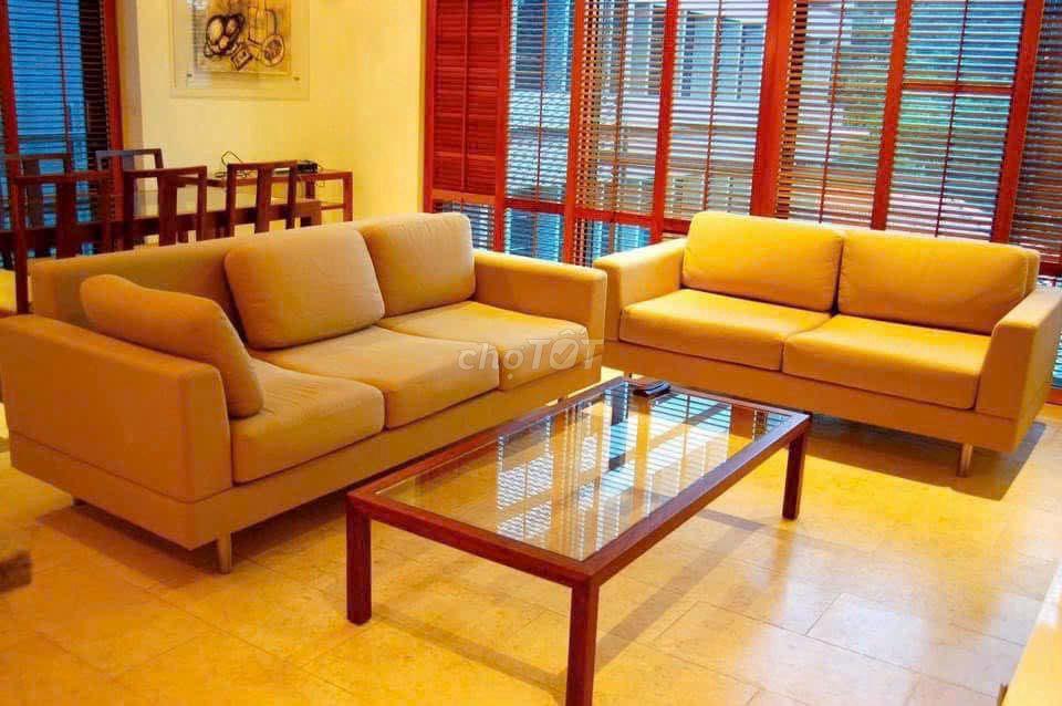 Cho thuê căn hộ Avalon , căn hộ cao cấp ngay quận 1