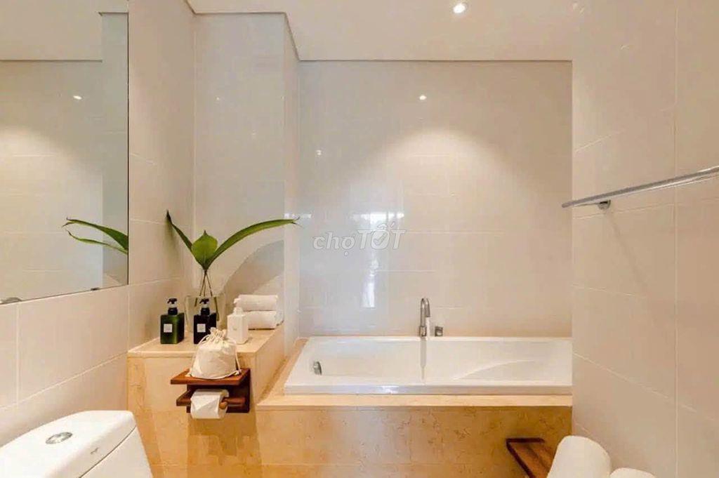 Cho thuê căn hộ Avalon , căn hộ cao cấp ngay quận 1