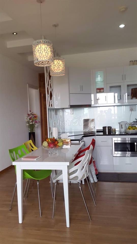 Bán căn hộ Indochina Park Tower Q1 , dt 110m2 3pn 2wc tầng cao