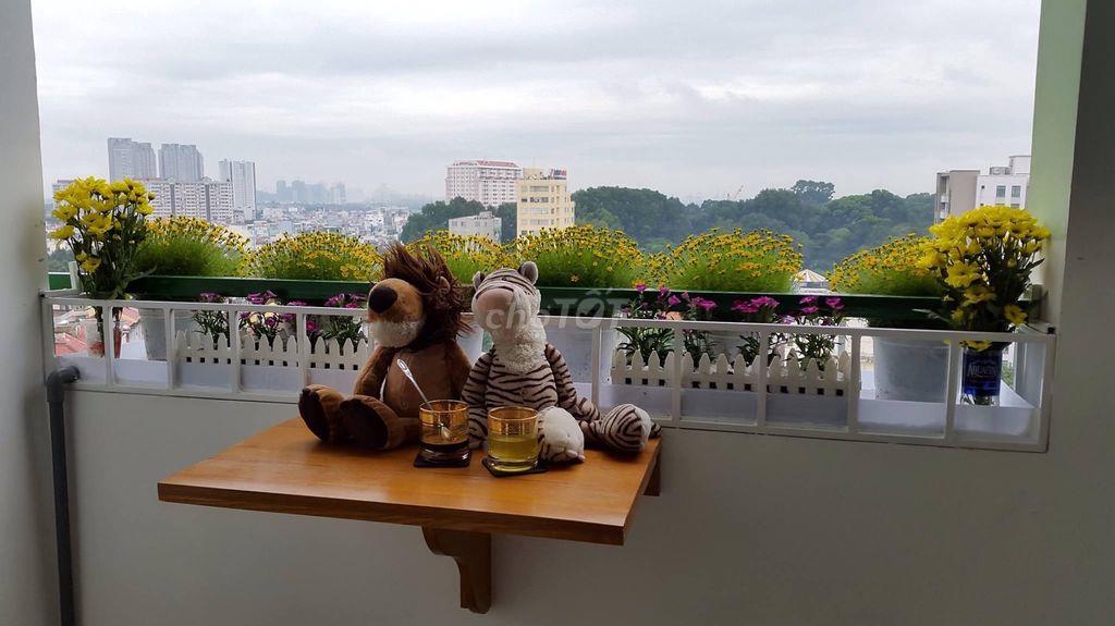 Bán căn hộ Indochina Park Tower Q1 , dt 110m2 3pn 2wc tầng cao