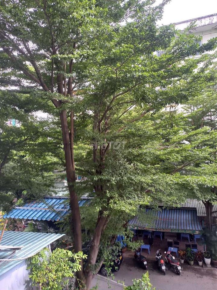 CĂN HỘ K26 DƯƠNG QUẢNG HÀM  P7 GV.2PN.2WC