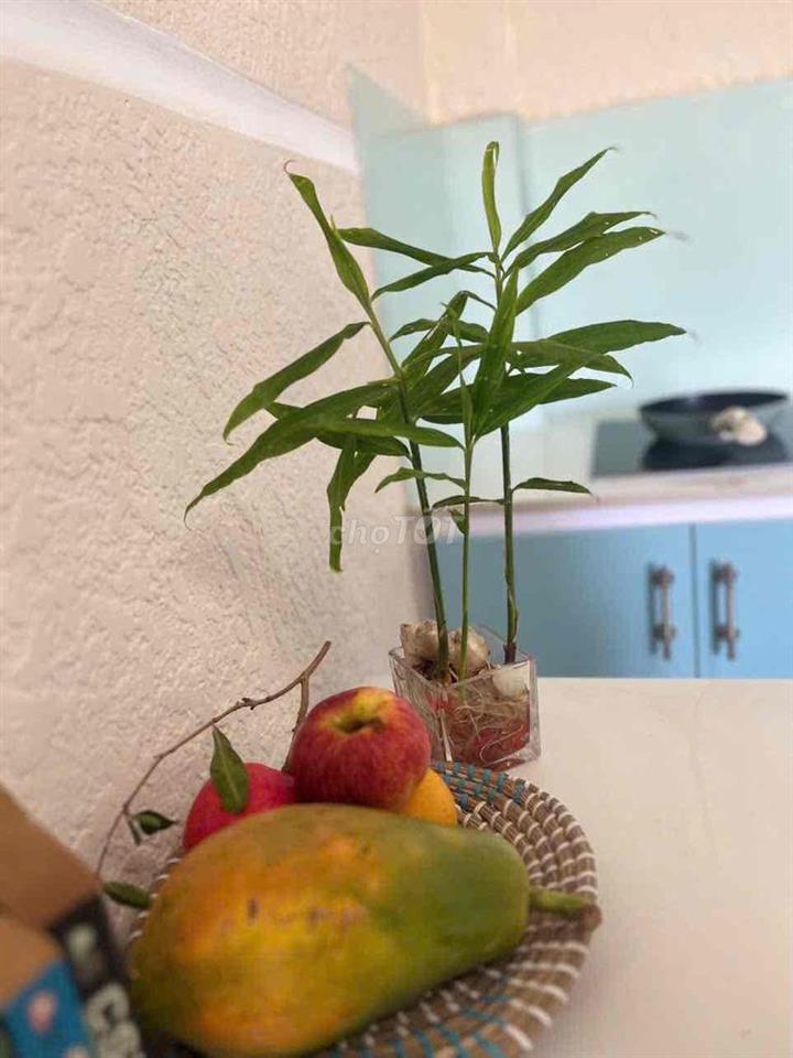 Chính Chủ Cho Thuê Phòng Ful NT Bang Công Giá 6,5tr Ở KDC Nam Long Q.7