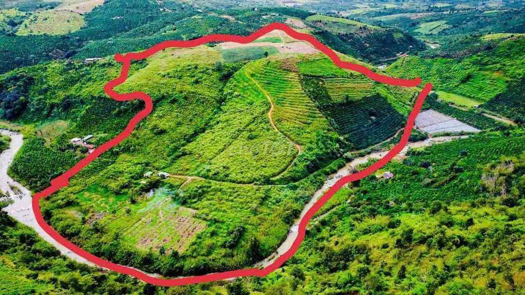 Em Có Lô Đất 01 Đức Trọng Lâm Đồng 9092,7m Cách Cao Tốc Dầu Giây Liên