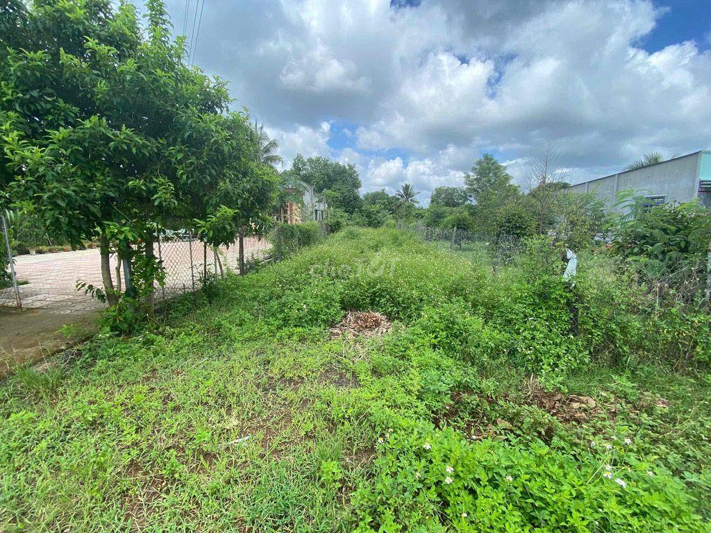 Chính Chủ Bán Lô Đất Tổ 1 Ấp Phú Lạc Bình Long Bình Phước 285m Giá 650