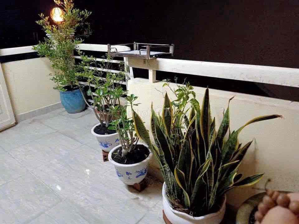 Chính Chủ Cho Thuê Nhà HXH 169 VTS Q.3 5pn 5wc Ful NT Giá 25,2tr C2 Ạ