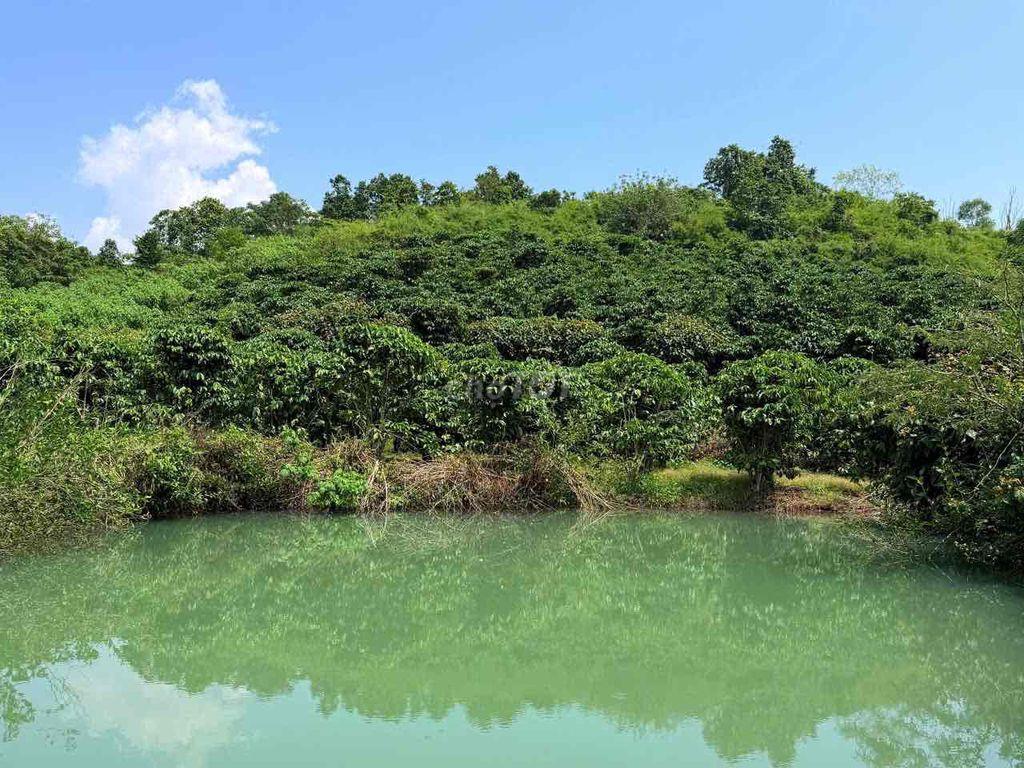 🌷🌷🌷Chủ cần tiền bán lô đất capê giá rẻ kịch sàn Đất thuộc Tân Phú ninh