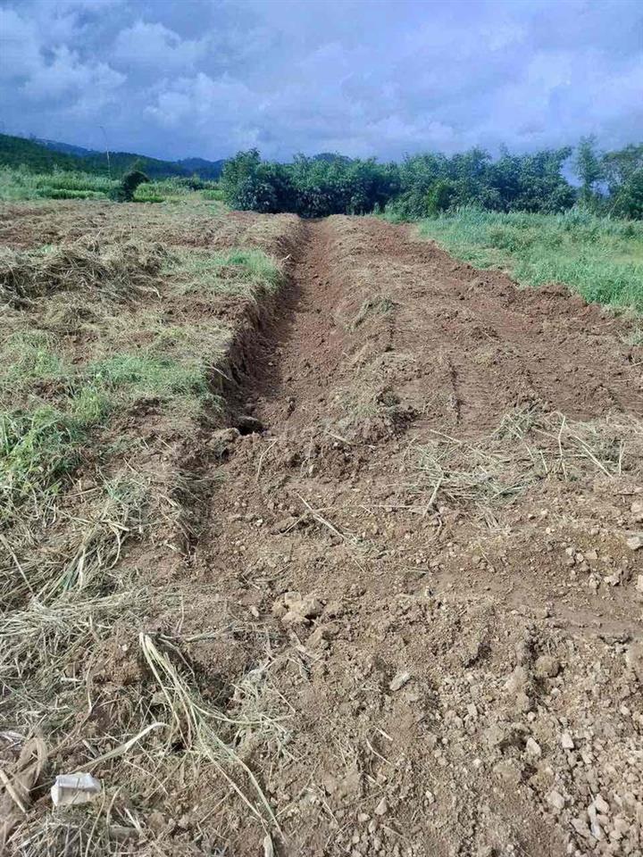 Chính Chủ Bán Lô Đất Gần Chợ Tân Trụ LA 3500m Giá 2,3 Tỷ Chốt 2,2 Tỷ Ạ