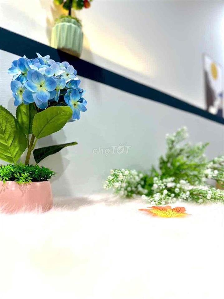 chothuee 2PN 55m2 siêu to, thoáng , lầy 5 Thang Bộ