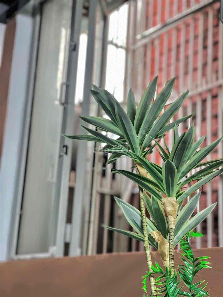 1PN Tách Bếp có Gác Ở được 3-4 bạn Thoáng Rộng