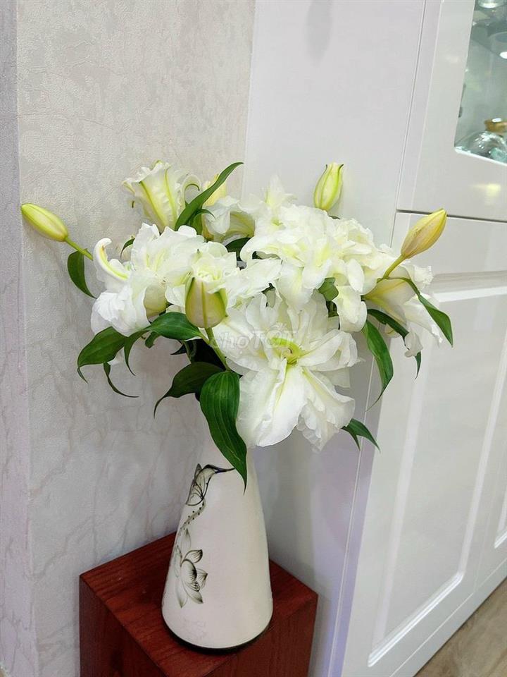 Cho thuê căn hộ cao cấp đầy đủ nội thất