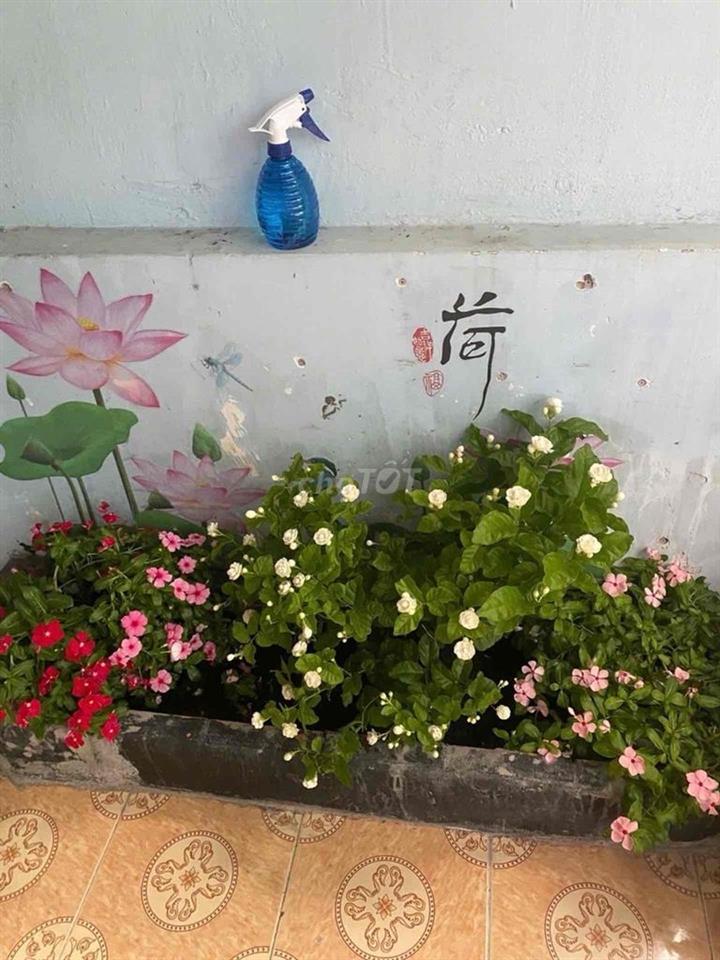 Bán nhà Phùng Văn Cung .30m2,2 Tầng, 2PN, Mặt tiền xe tải tránh, TL