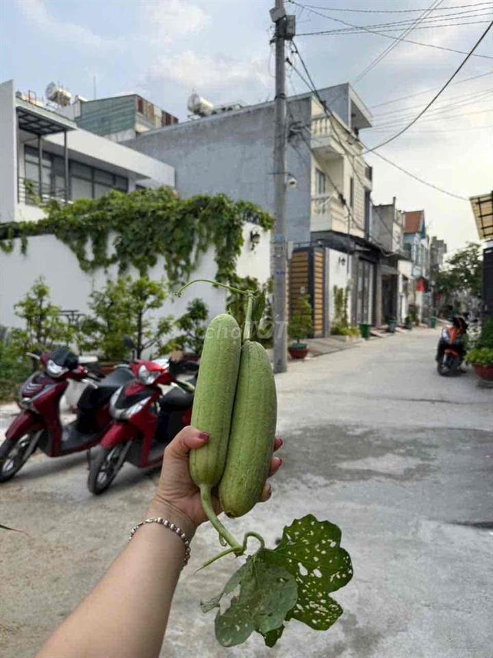 CHÍNH CHỦ CẦN BÁN NHÀ ĐẸP 3 LẦU 4PN ĐÚC CỨNG CÁP