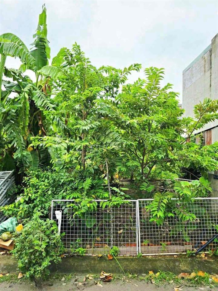 ✅ ĐẤT KDC NAM KHANG LONG TRƯỜNG | 54M² | 3,6 TỶ