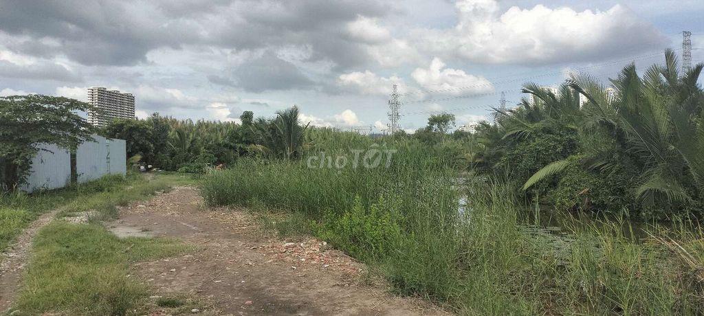 BÁN ĐẤT VƯỜN PHẠM HỮU LẦU 