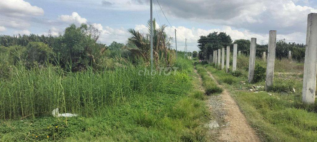 BÁN ĐẤT VƯỜN PHẠM HỮU LẦU 