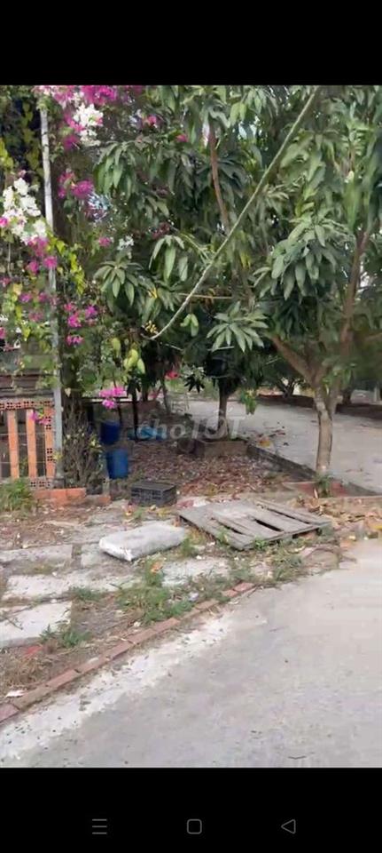 BÁN NHÀ VƯỜN 1500M NHÀ BÈ 