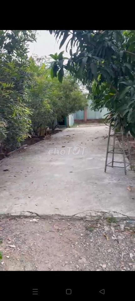 BÁN NHÀ VƯỜN 1500M NHÀ BÈ 