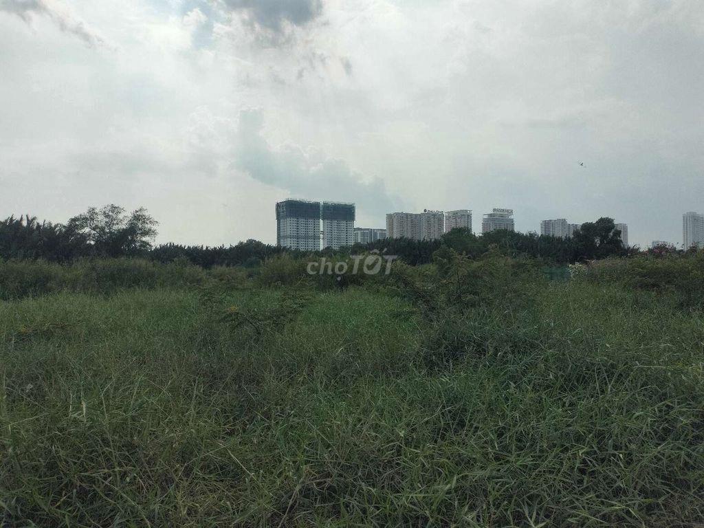 Cho thuê đất vườn Nhà Bè