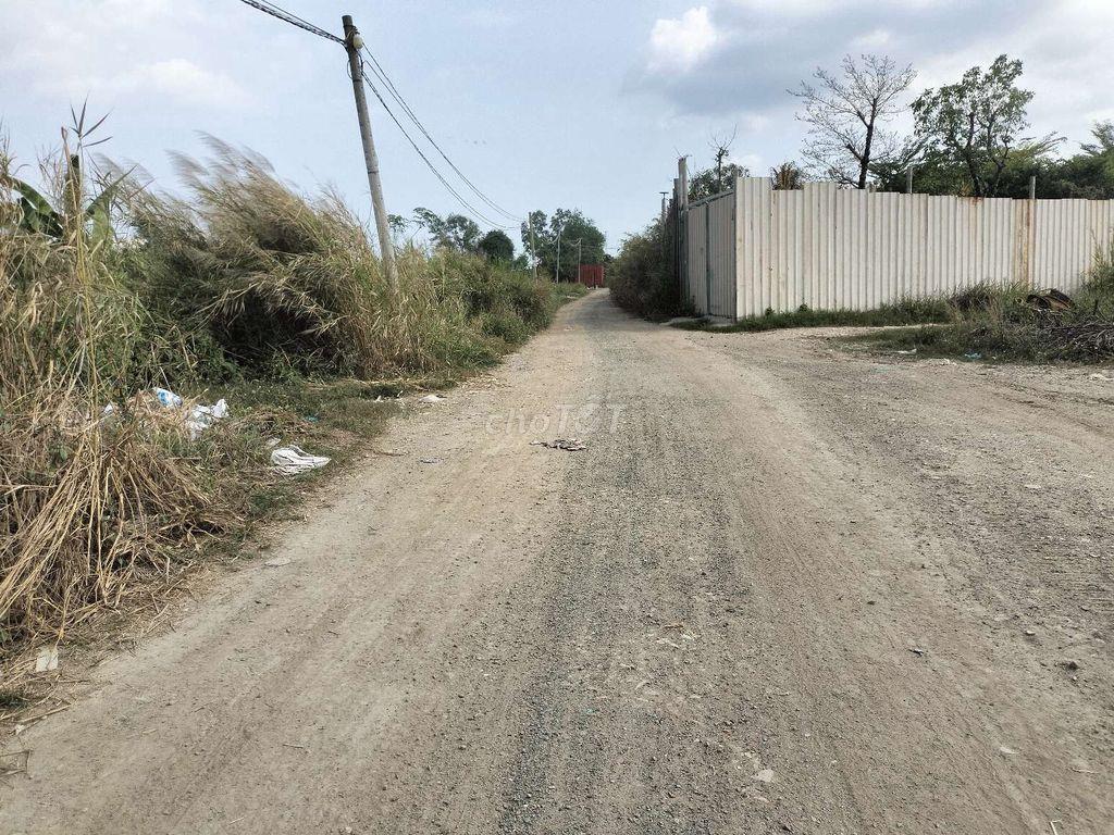 Cho thuê đất vườn Nhà Bè
