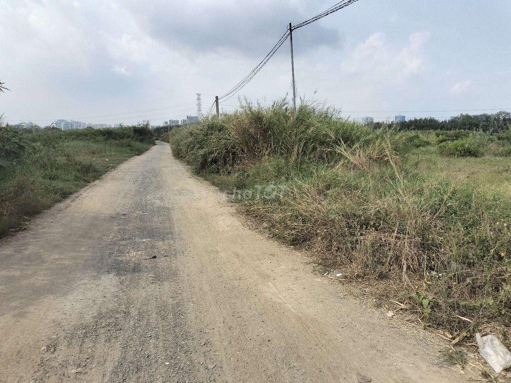 Cho thuê đất vườn Nhà Bè