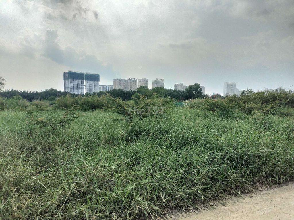 Cho thuê đất vườn Nhà Bè