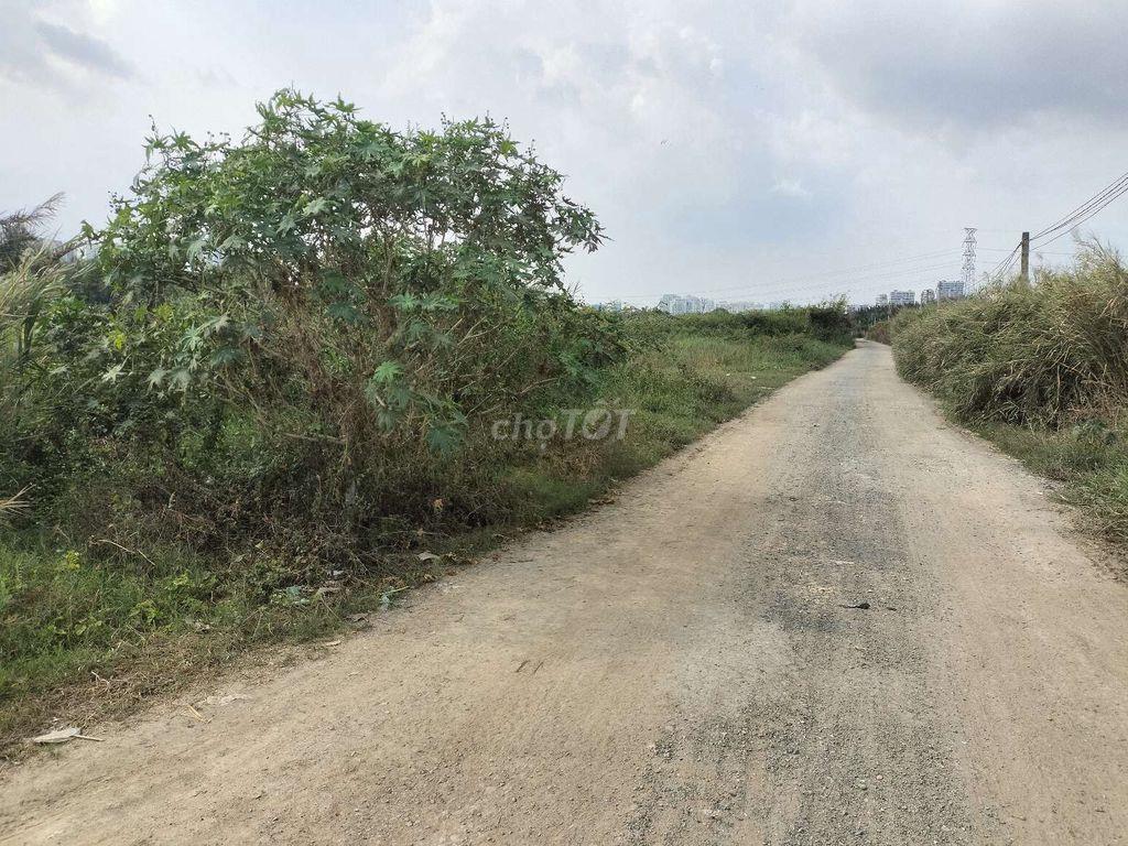 Cho thuê đất vườn Nhà Bè