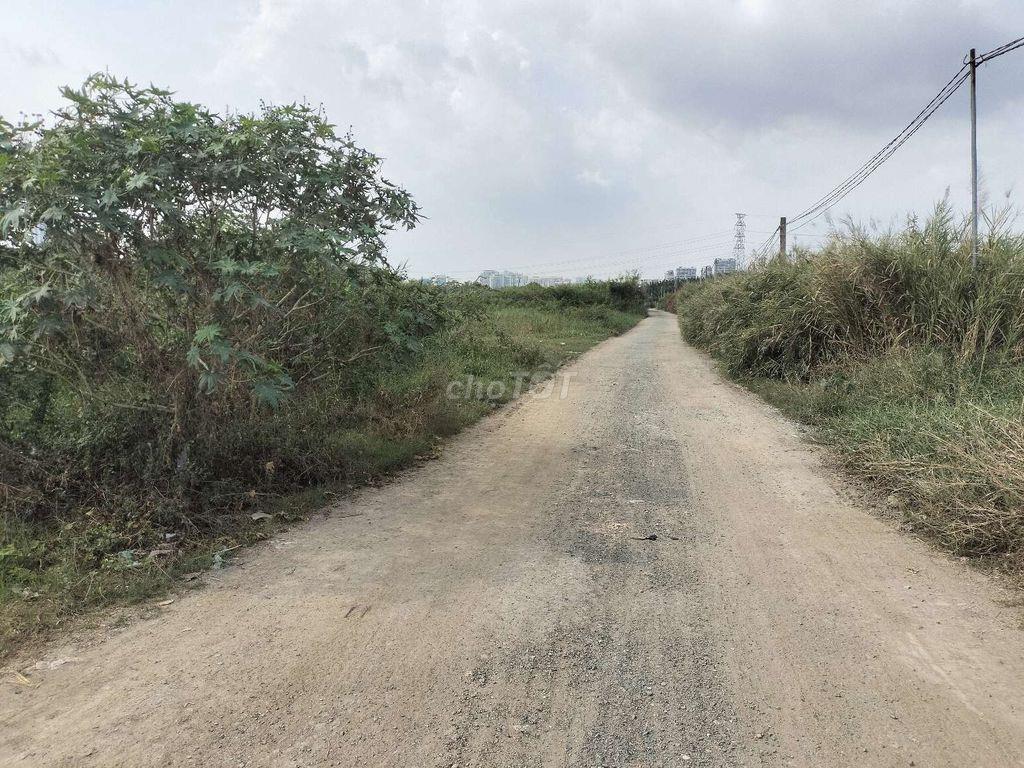 Cho thuê đất vườn Nhà Bè
