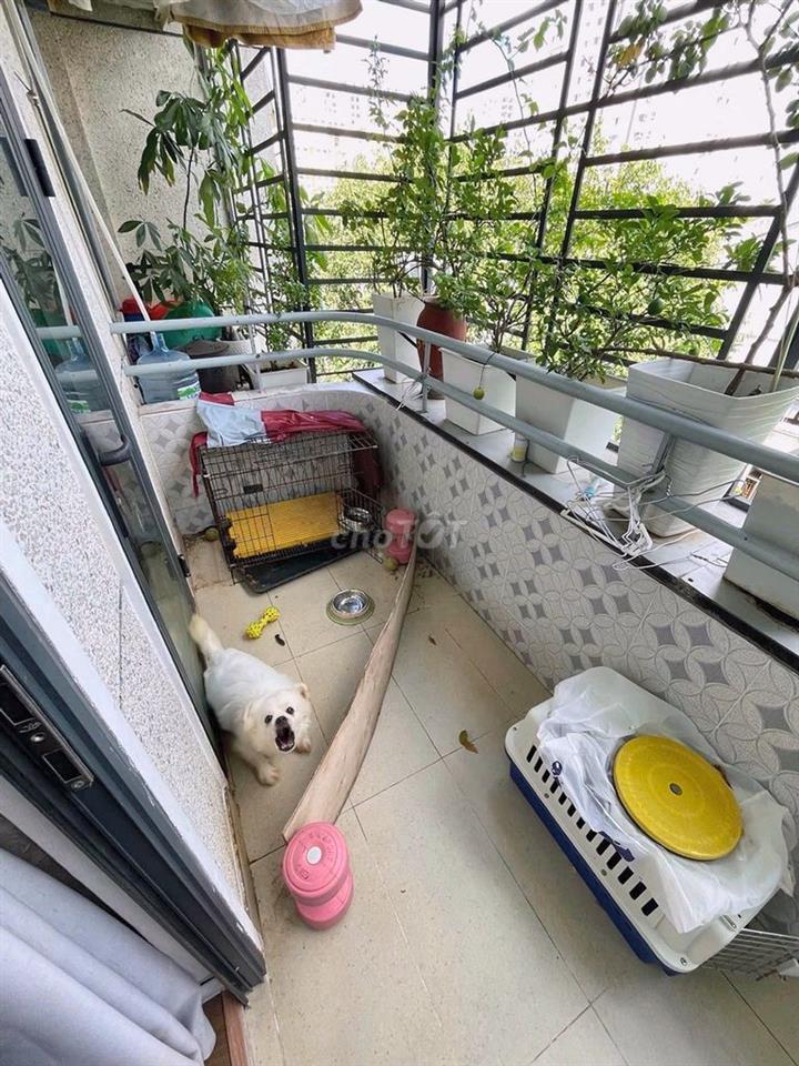 76M2 CHỈ 3.18 TỶ - CĂN HỘ LẦU 5 TẠI CHUNG CƯ A9 BẮC ĐINH BỘ LĨNH