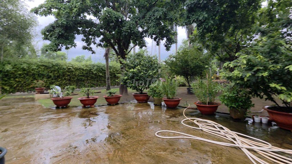 SIÊU PHẨM NHÀ SÀN SÂN VƯỜN