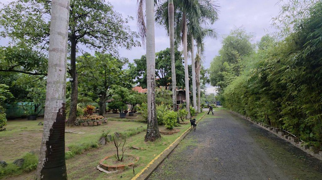 SIÊU PHẨM NHÀ SÀN SÂN VƯỜN