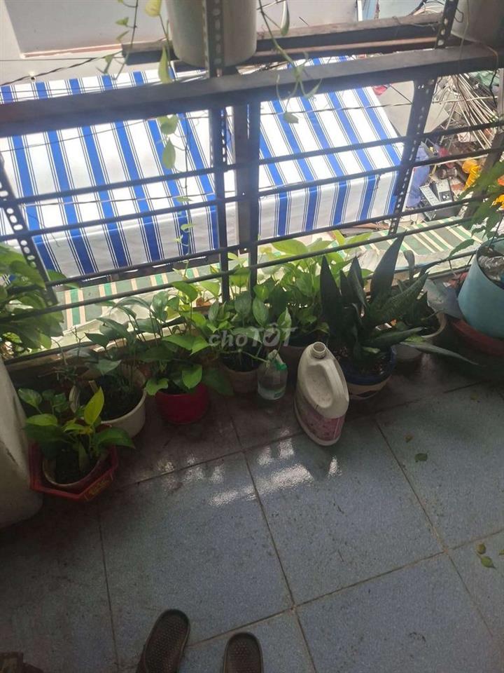 CẦN BÁN