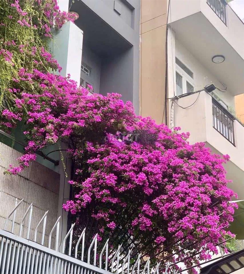 CHUNG CƯ 2 MẶT CỬA, CHỈ 8 Triệu. Q3
