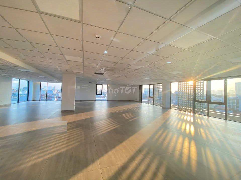 Tòa nhà đường Nam Kỳ Khởi Nghĩa, Ngang: 12x25m, hầm 8 tầng cho thuê