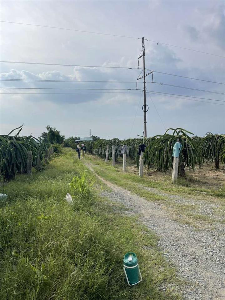 Bán đất Thanh Long cách Phan Thiết 16km, dt 15500m