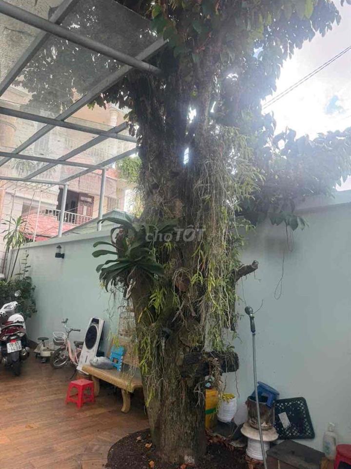 NHÀ + 9 PHÒNG TRỌ 385m2 THỔ CƯ 100%-HẼM XE TẢI TĂNG NHƠN PHÚ-Q9