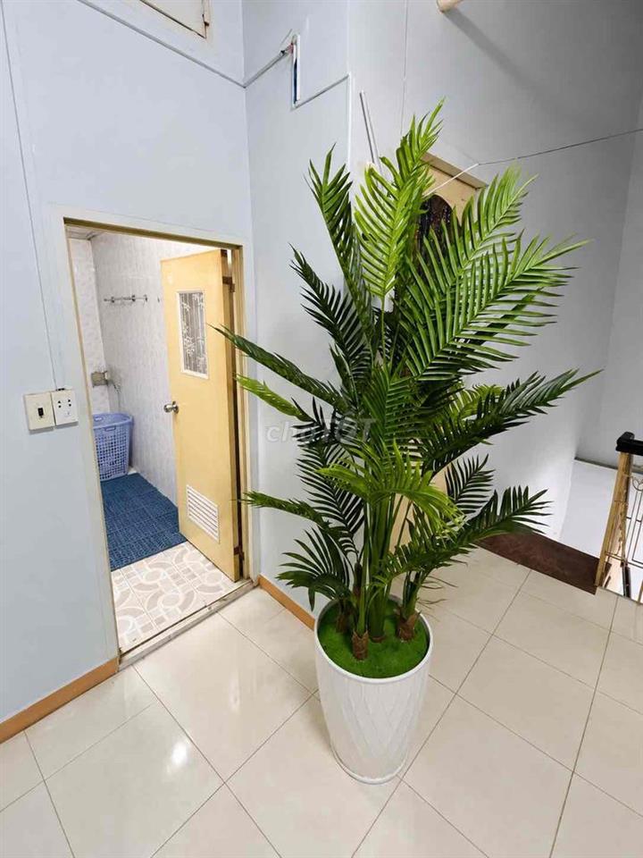 CHO THUÊ MT BÙI THỊ XUÂN GẦN CHỢ PHẠM VĂN HAI – 4.3x17M NỞ HẬU 6M – 3P