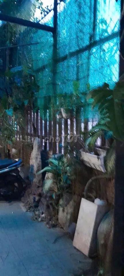 Cho Thuê Nhà Đường Cách Mạng Tháng 8, Quận 10 ( 100m2 - KD TỰ DO )